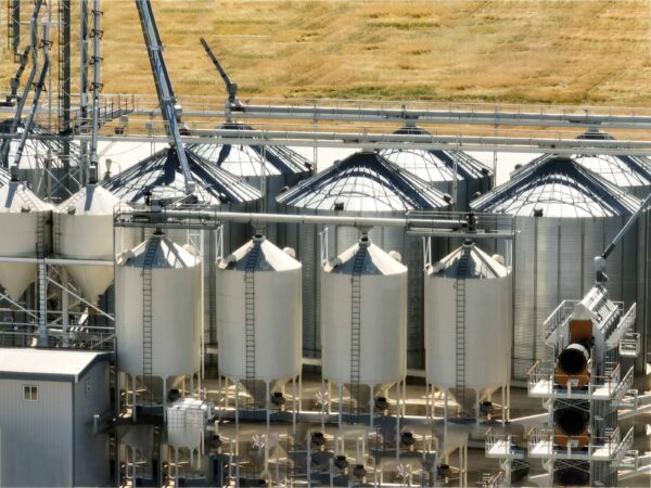 Grain Silo-O - Image 3