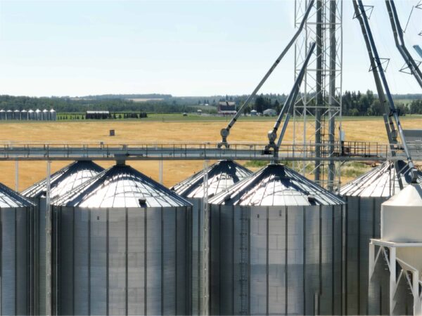 Grain Silo-O - Image 4