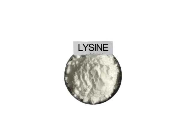 Lysine-O