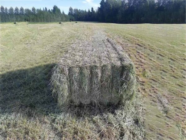 Baling Twine - Image 2