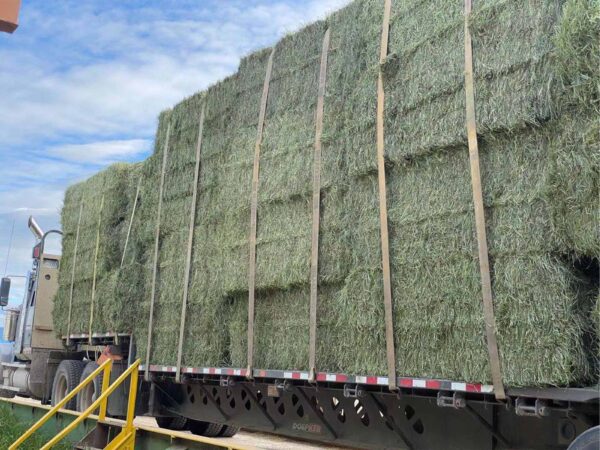 Baling Twine - Image 3
