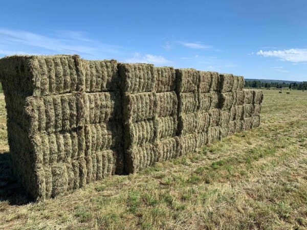 Baling Twine - Image 4