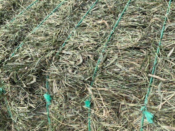Baling Twine - Image 5