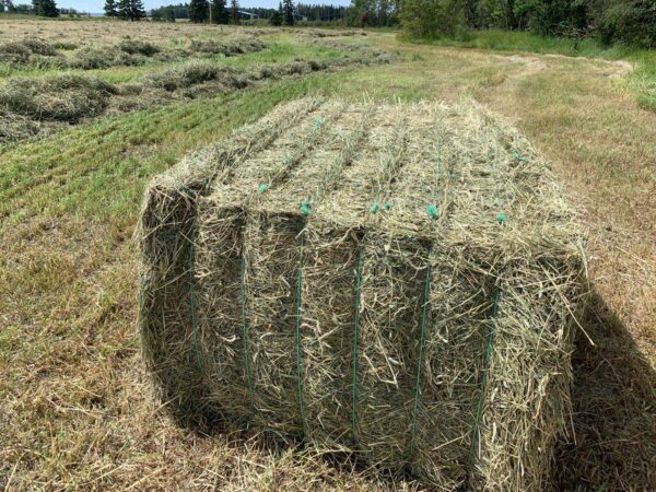 Baling Twine - Image 6