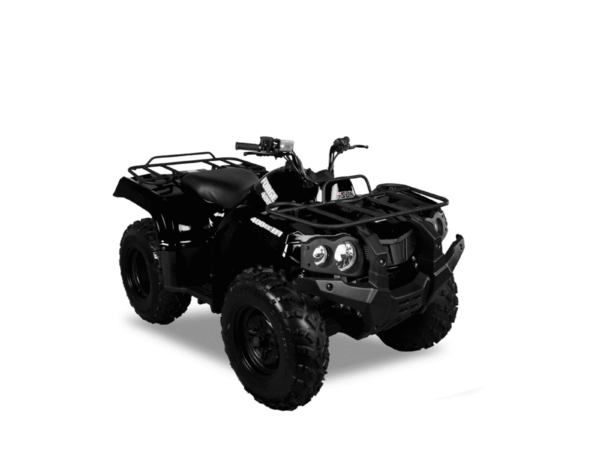 ATV SF-FORGE 400I - Image 2