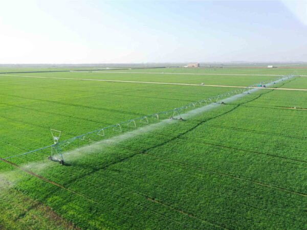 Smart Water and Fertilizer System-O - Image 2